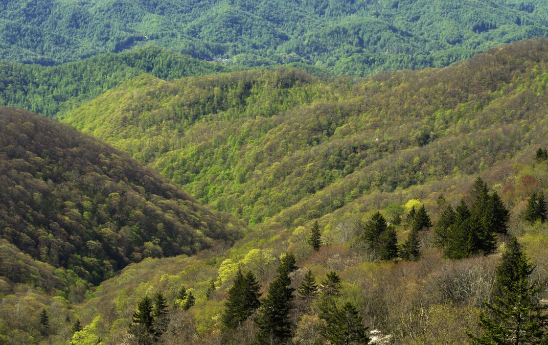 Early spring along the Blue Ridge Parkway, NC. (145/Jerry Whaley/Ocean/Corbis)