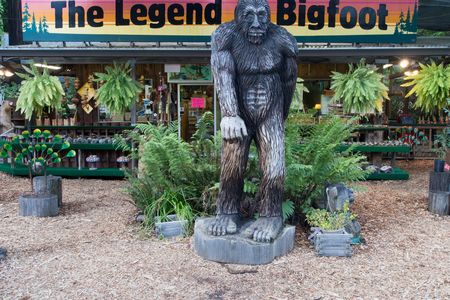 Lloyd's of London is offering $10 million to anybody who proves Bigfoot exists.