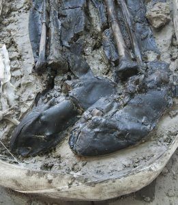 Found Near the Thames: A Centuries-Old Skeleton, Still Wearing Thigh-High Boots