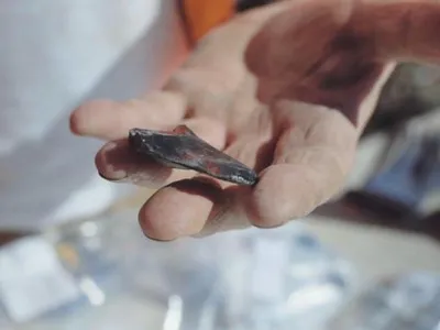 An obsidian flake tool found at Eastland Port in Gisborne, New Zealand, is one of several artifacts discovered at the site of a 14th century Maori village.