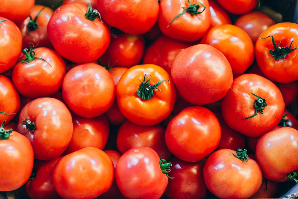 tomatoes