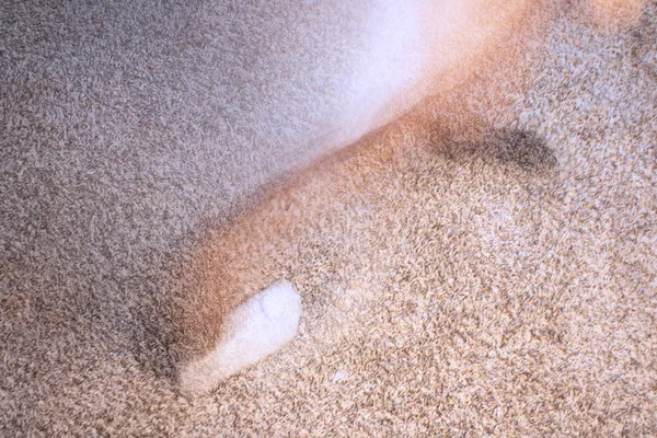 Long exposure of walking thumbnail