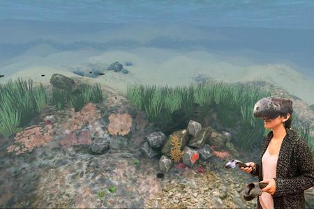 Stanford's Ocean Acidification Experience uses virtual reality to help people understand in a uniquely personal way the long-term effects of climate change.