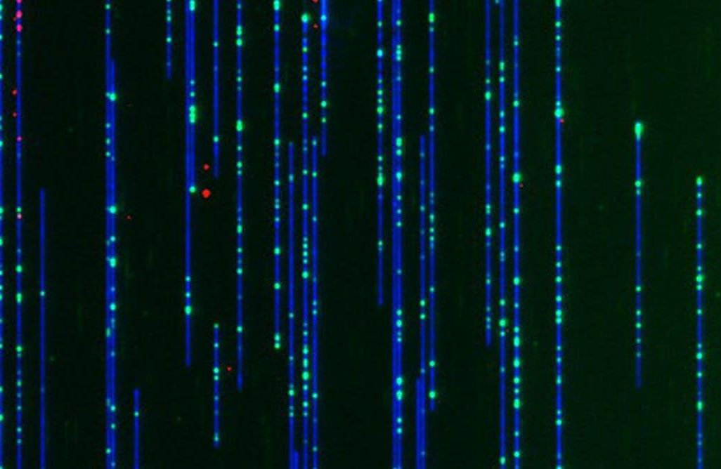 DNA Image