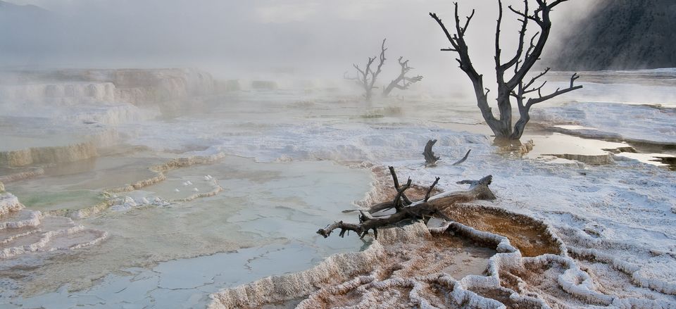  Mammoth Hot Springs, Yellowstone National Park, Wyoming. Taken by Steven Ross. 