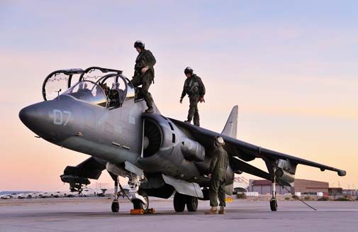 harrier-505.jpg