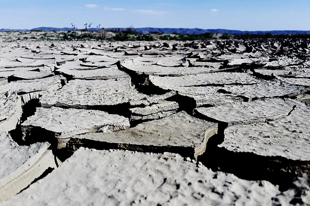 Dried Mud