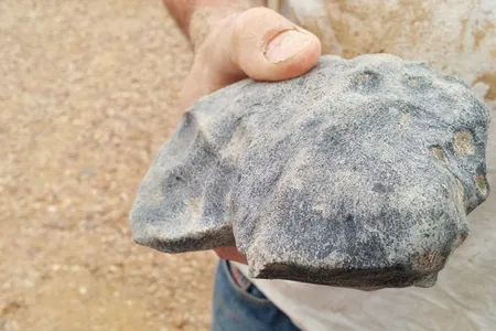 A meteorite discovered in the Australian ouback on New Year's Eve.