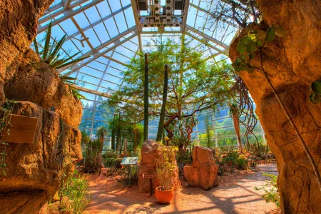The Desert Pavilion at the Brooklyn Botanical Garden.