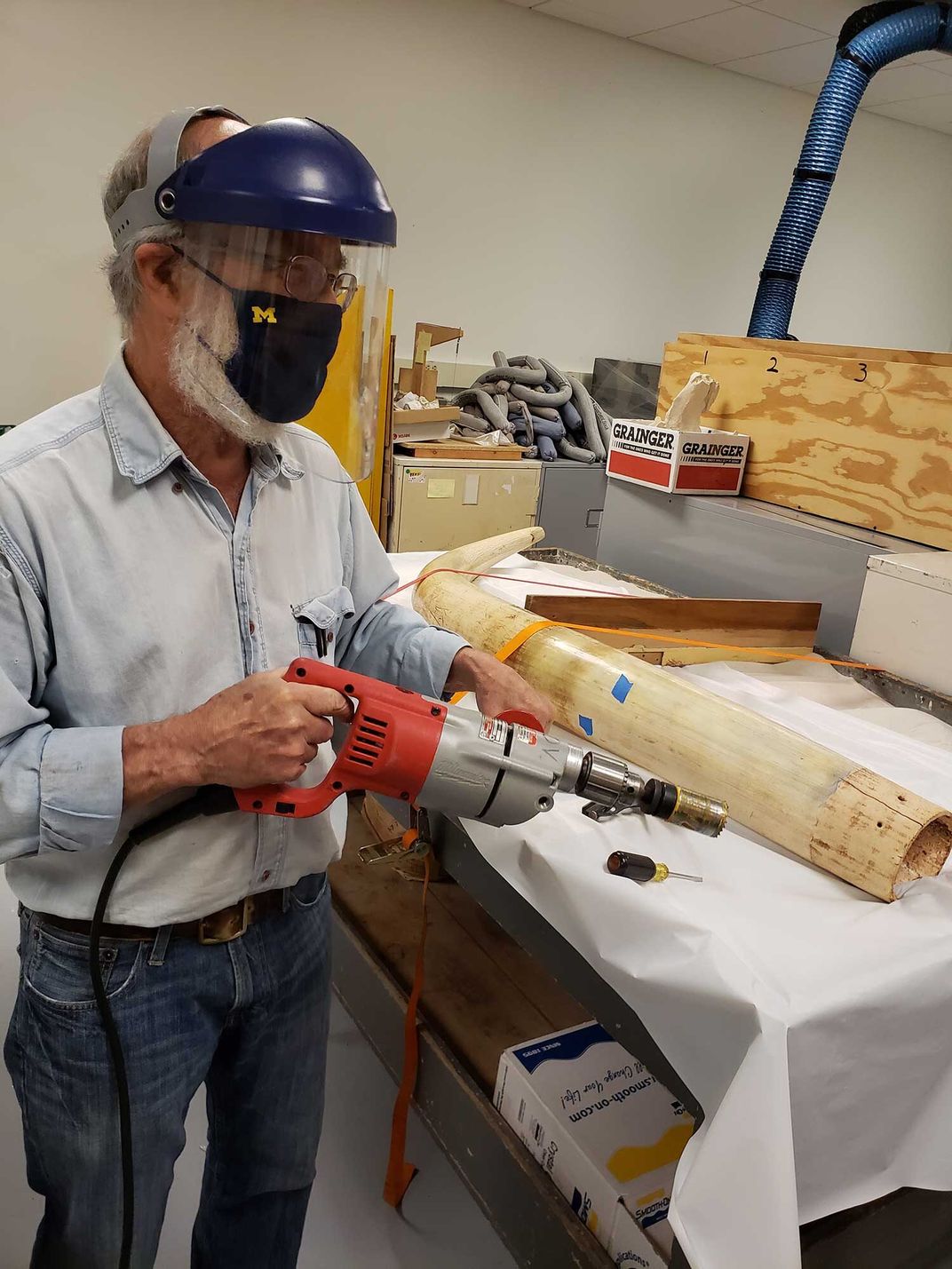 Researcher wearing a face mask standing next to a tusk