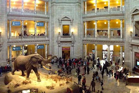 National Museum of Natural History