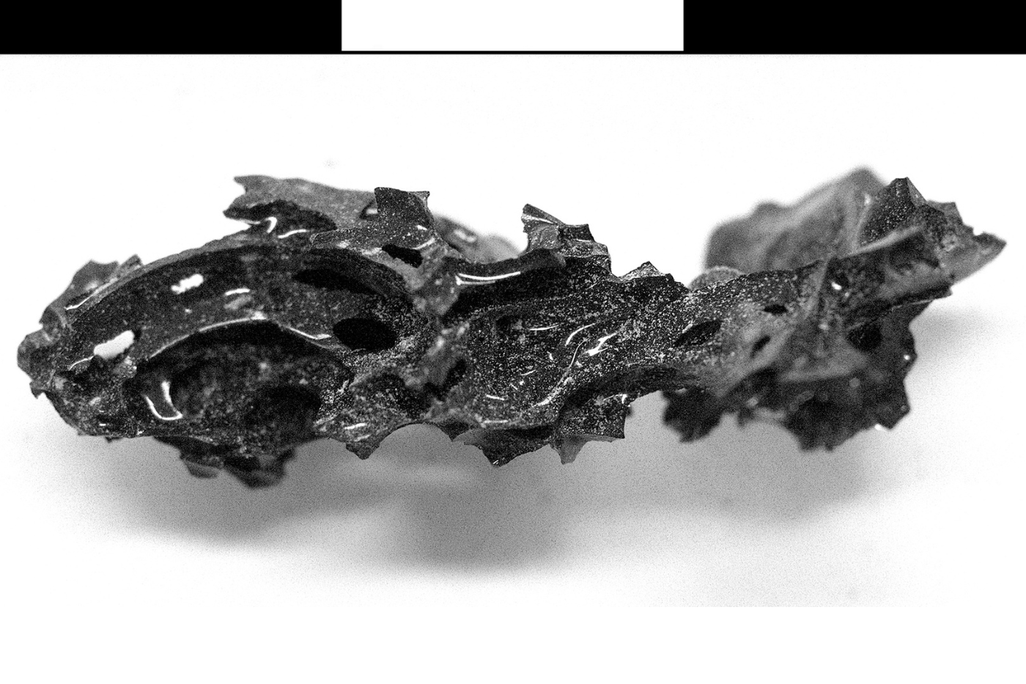 A fragment of the glass found within the remains of the college custodian.