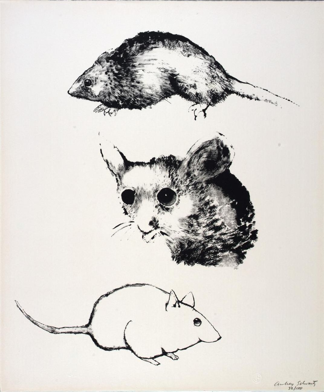 A drawing of mice. 