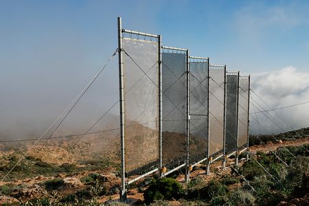 Mesh billboards on the Moroccan mountainside will soon be joined by numerous others—a planned 31 in all—to create the world’s largest fog collection facility.