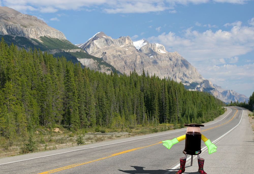 hitchBot
