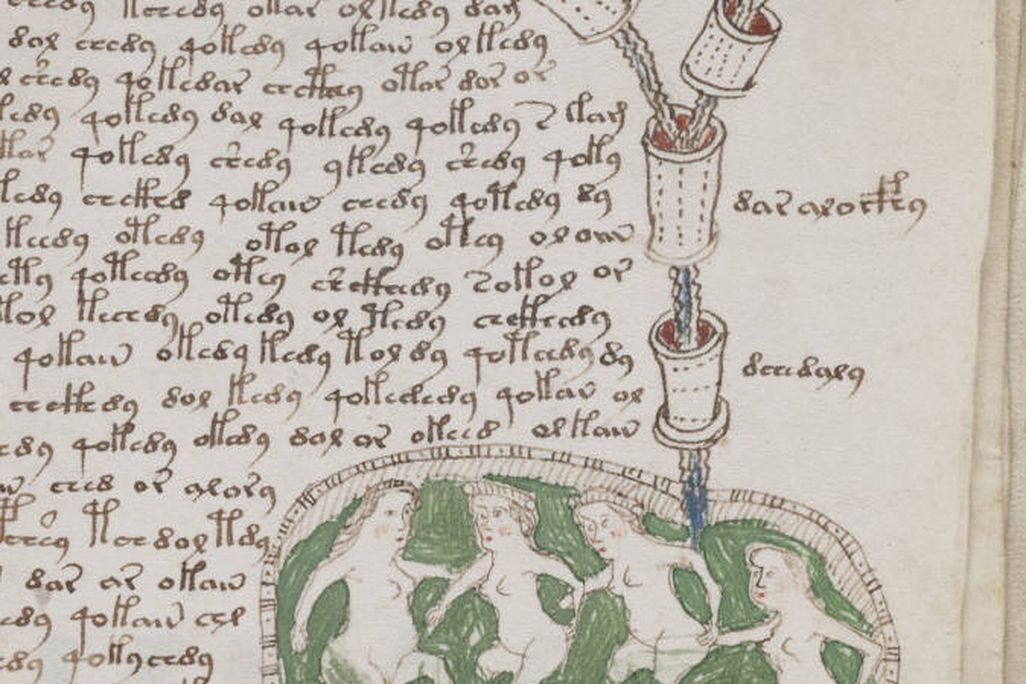 Voynich Manuscript2