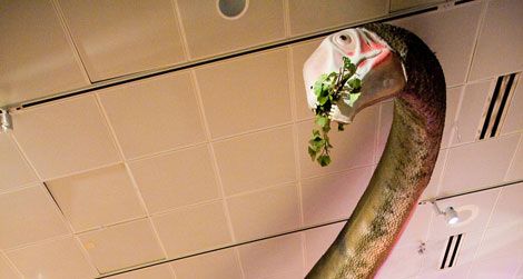 The Mamenchisaurus centerpiece in the "World's Largest Dinosaurs" exhibit.