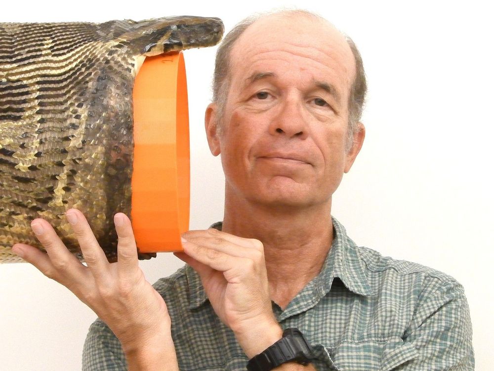 A man holds a snake head with an orange bucket-like object in the mouth