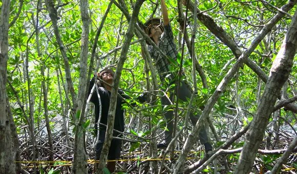 Steven Canty and Cristhian Perez of the Centro de Estudios Marinos of Honduras in the field. (Mayra Nuñez/Centro de Estudios Marinos)
