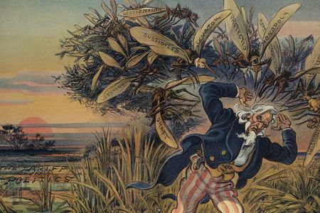 Illustration titled, “If you want to get rid of mosquitos, drain the swamp that breeds them.” (1909)