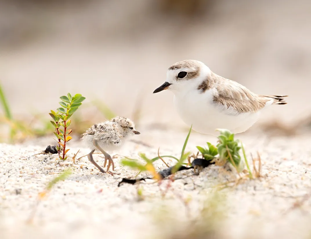 10 Reasons Why Alabama's Gulf Coast Should Be Your Next Beach Destination