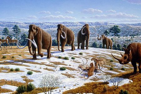 The Pleistocene world was filled with megafauna like woolly mammoths and saber-tooth cats. Did humans kill them all off?