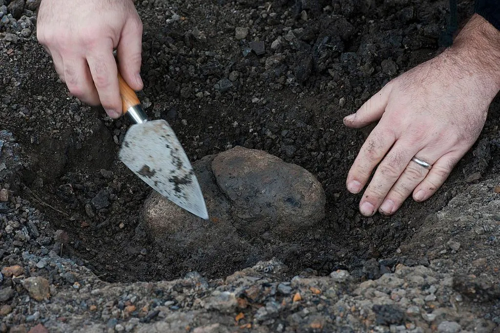 Five Places Where You Can Collect Fossils in the D.C. Area