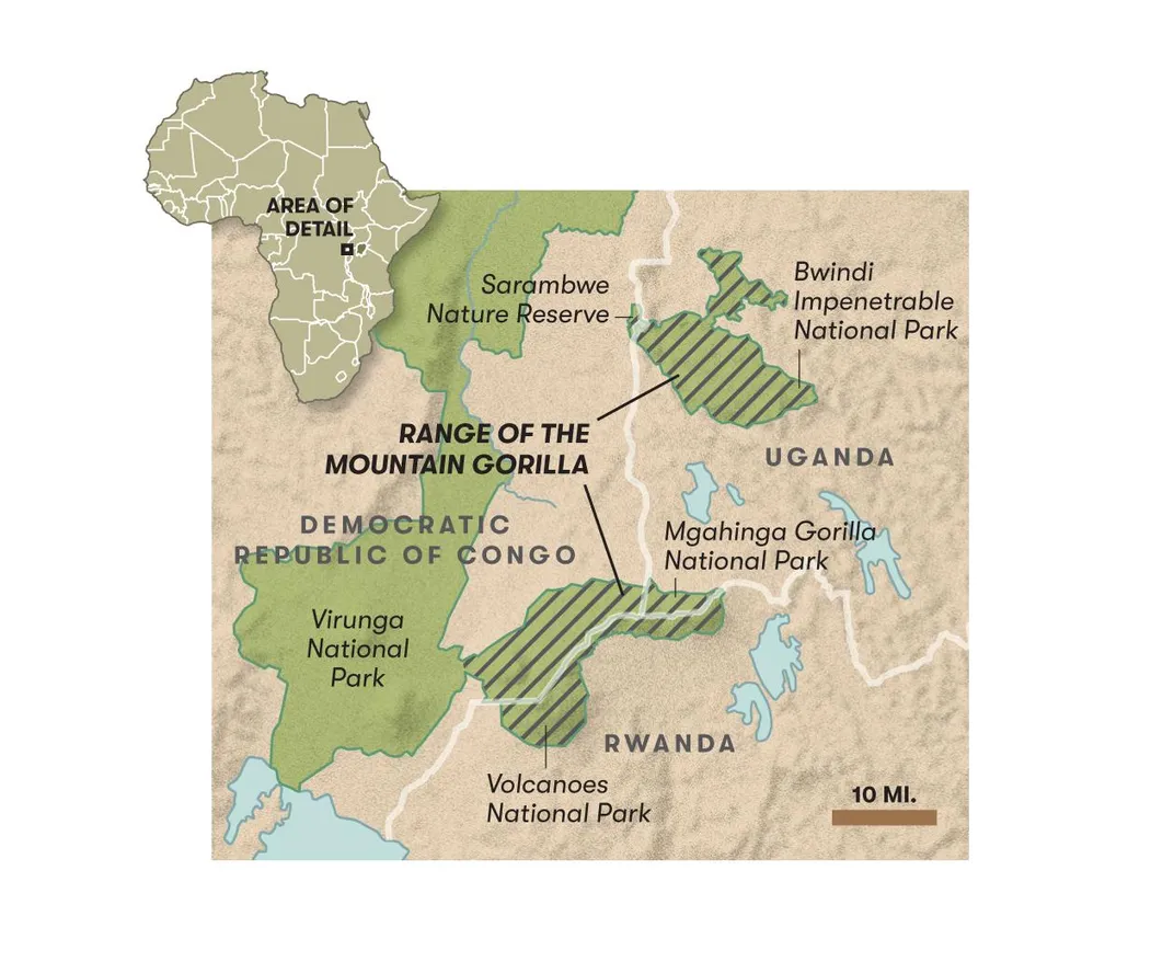 Map showing range of the mountain gorilla