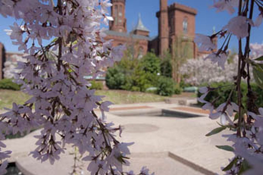 20110520110735picgarden.jpg