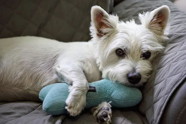 Sleeping Beauty thumbnail