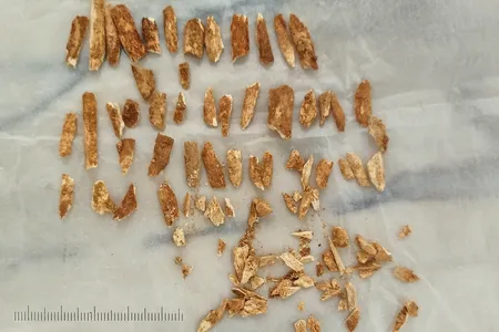 Scientists used fragments of the child&#39;s right forearm bone to date the skeletal remains.