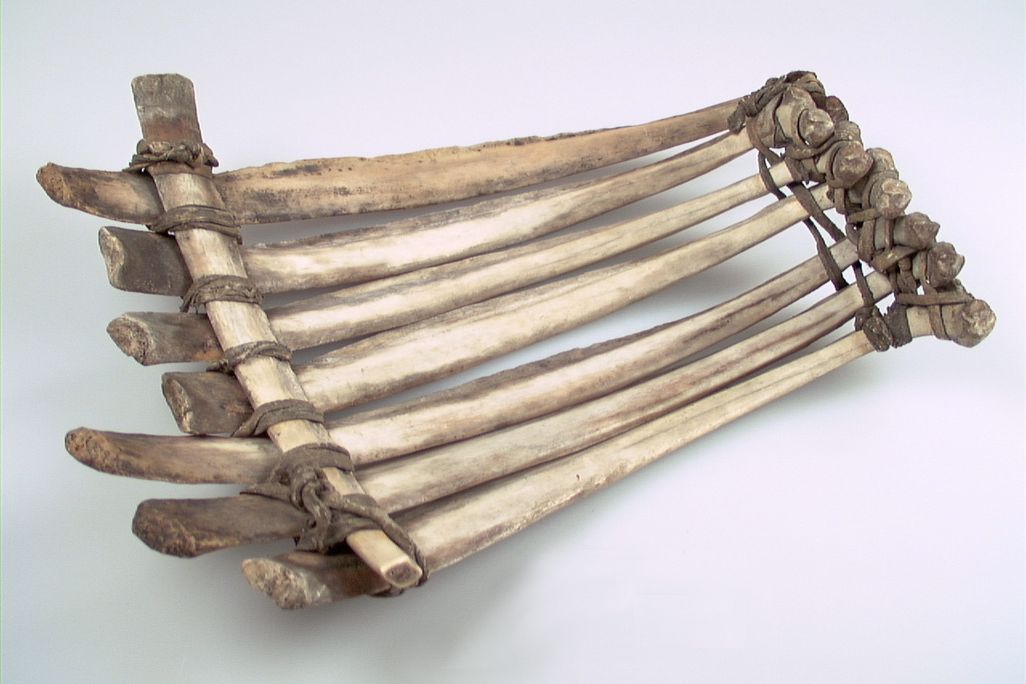 Sled229158.jpg