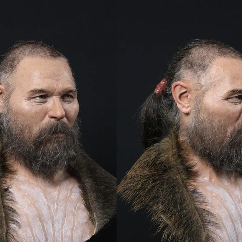 viking face reconstruction