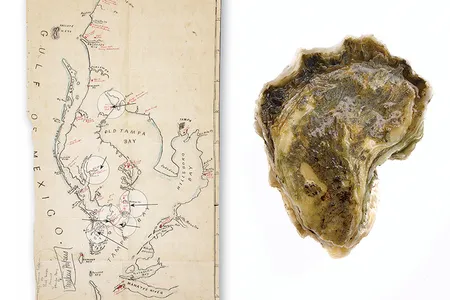 Walker's map is now in the Smithsonian's archives. In an 1873 report, he described relics he'd found, including "immense quantities of broken pottery."