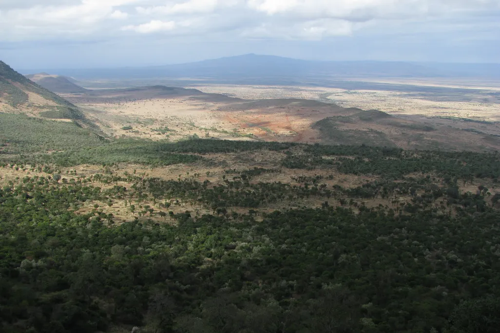 an overcast green and brown valley