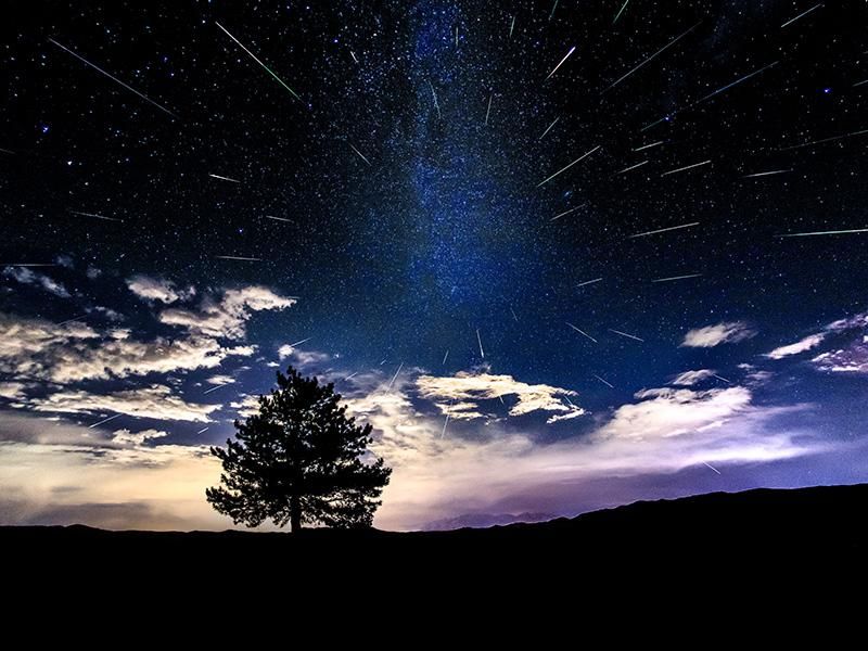 Perseids