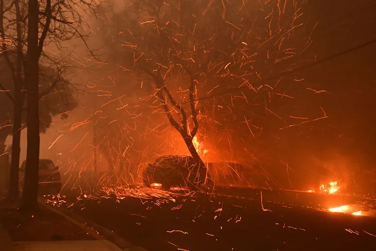 Los Angeles Wildfire