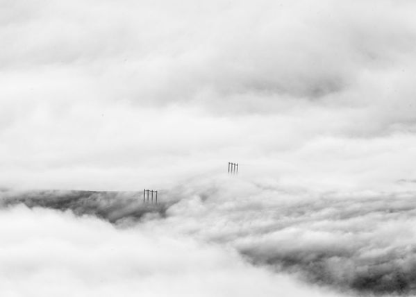 Through the Fog thumbnail