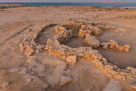 The finds suggest that the islands off the coast of Abu Dhabi weren't "arid and inhospitable" thousands of years ago, but rather a "fertile coast" ripe for settlement.