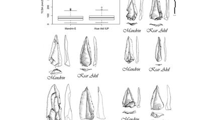 Europe’s First Humans May Have Arrived in Three Waves