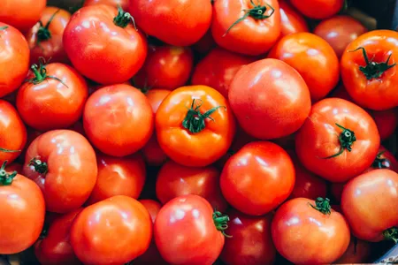 "Super tomatoes" or regular tomatoes?