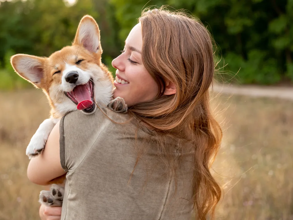 A young woman holding a smiling corgi puppy in a field