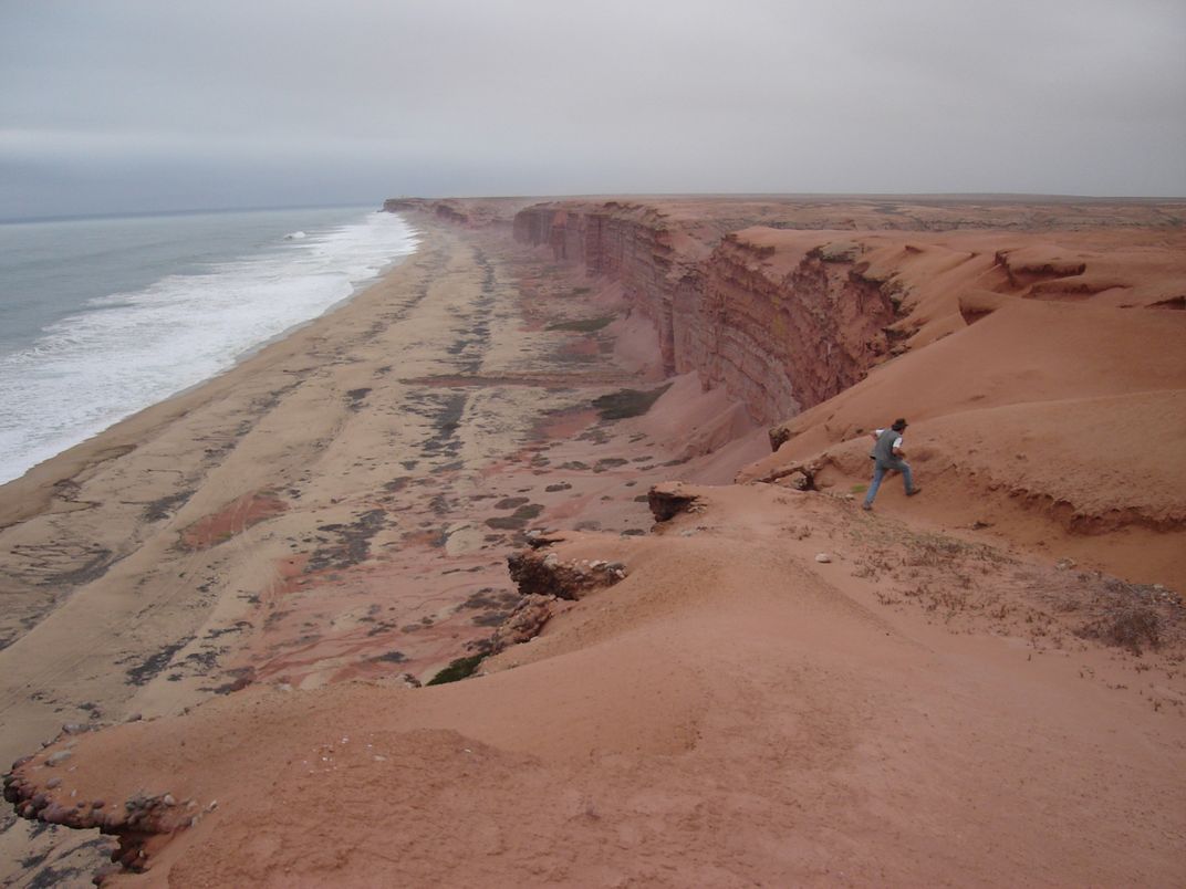 Modern cliffs of coastal Angola where Projecto PaleoAngola paleontologists excavate fossils of life that once lived in Angola’s ancient seas. 