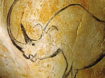 Someone painted this rhinoceros on a wall in France's Chauvet Cave about 30,000 years ago.