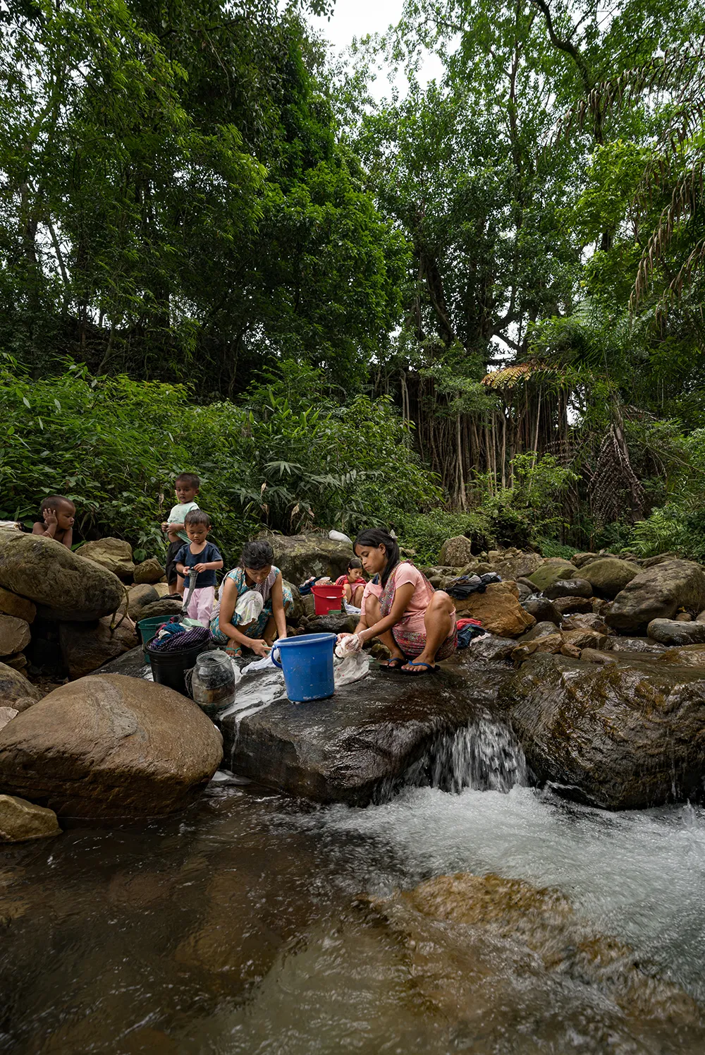 In One of the Wettest Places on the Planet, Indigenous People Build Bridges and Ladders Out of Living Tree Roots
