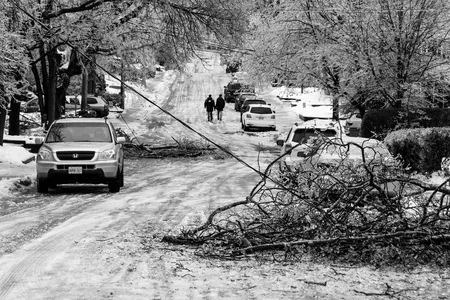 Downed trees litter the street during a recent ice storm in Toronto.