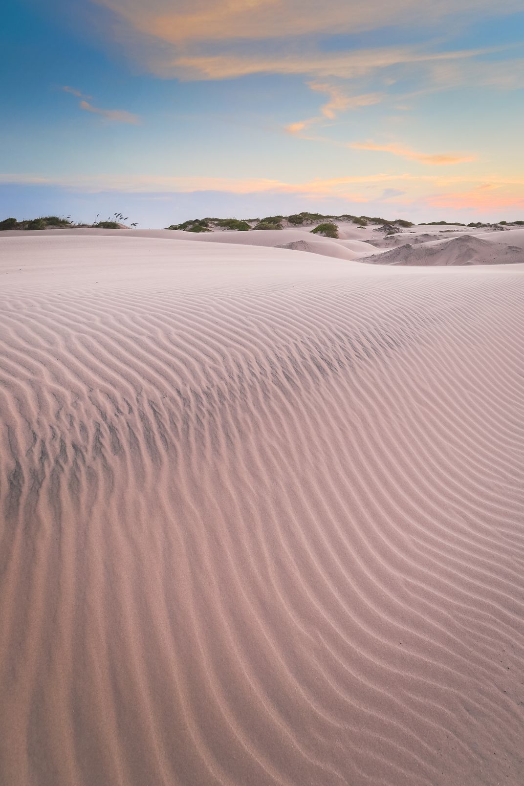 Sand Dunes of South Padre Island | Smithsonian Photo Contest | Smithsonian  Magazine
