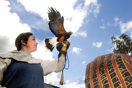 A falconer next to a runestone.