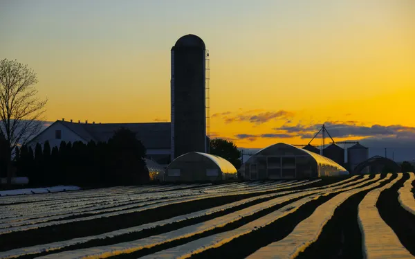 Sunset Farm thumbnail