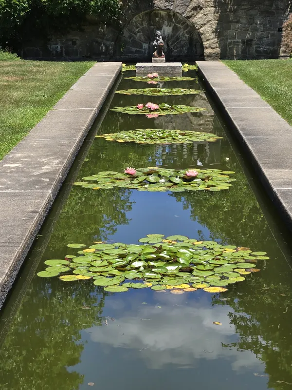 Water Lily Pond thumbnail